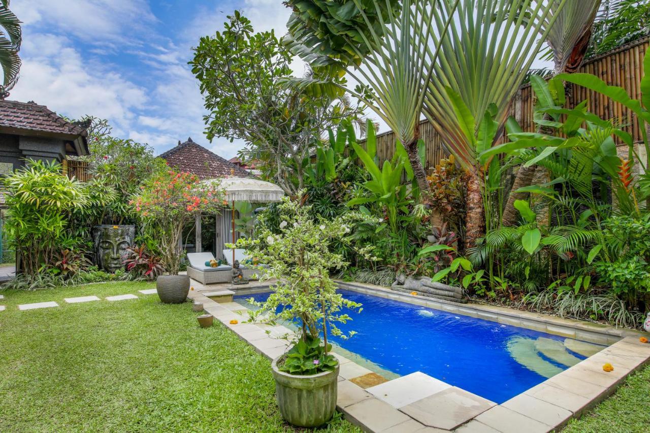 Villa Balissima เซมินยัค ภายนอก รูปภาพ